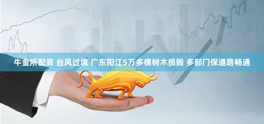 牛金所配资 台风过境 广东阳江5万多棵树木损毁 多部门保道路畅通
